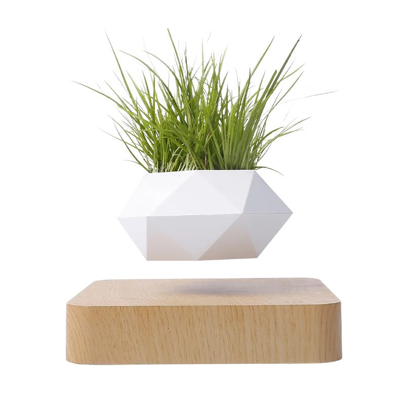Levitating Bonsai Pot