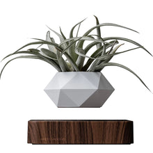 Load image into Gallery viewer, Levitating Bonsai Pot
